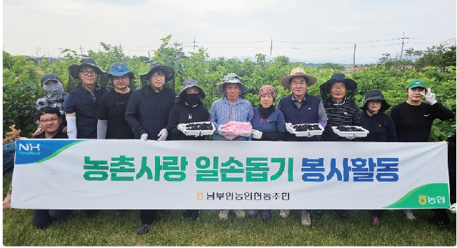 농촌사랑 일손돕기 대표 이미지