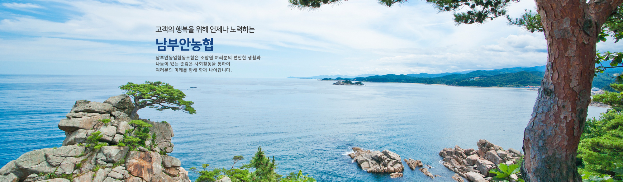 비쥬얼_여름