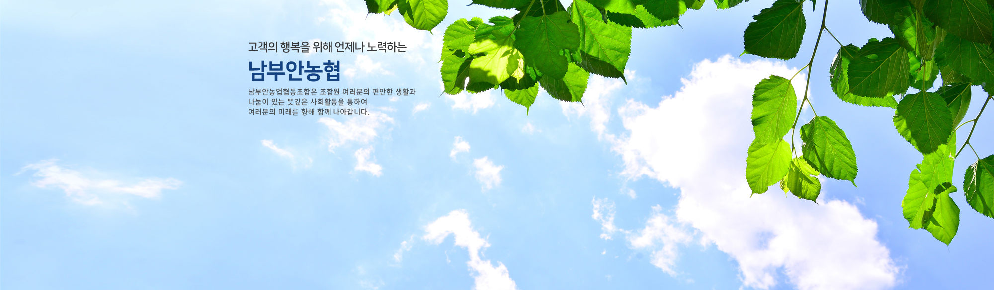 비쥬얼_여름
